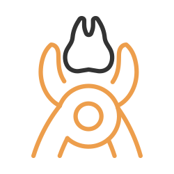 歯科口腔外科（親知らずの抜歯）